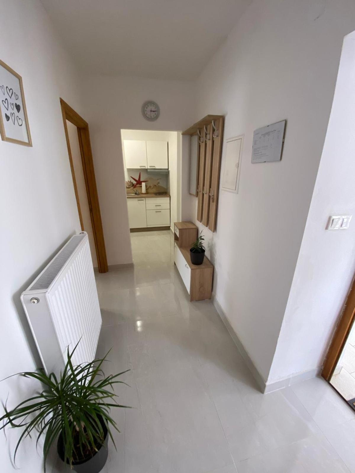 Apartmani Radosav Šilo Esterno foto